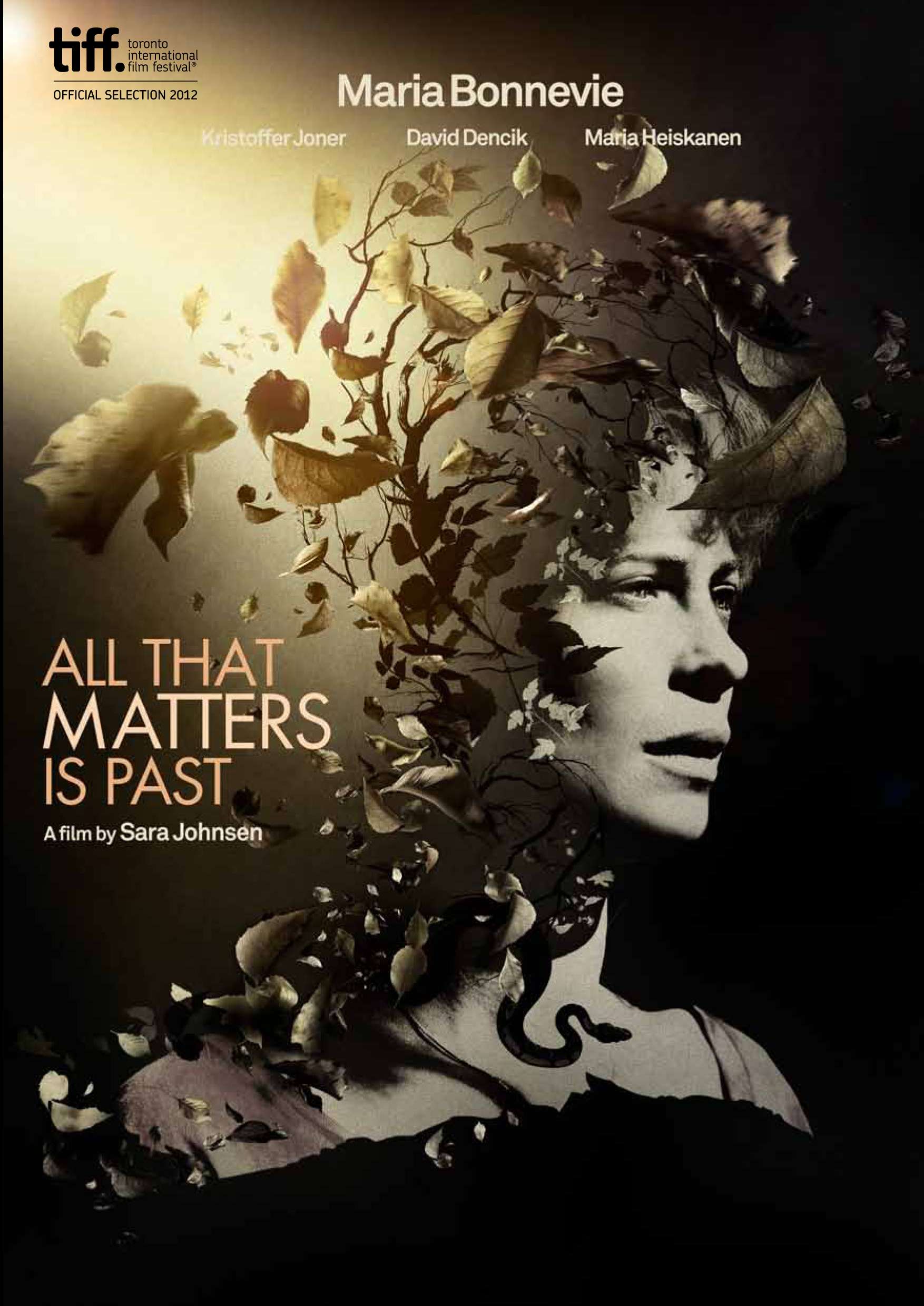 All That Matters Is Past - 2012 BDRip XviD - Türkçe Altyazılı indir